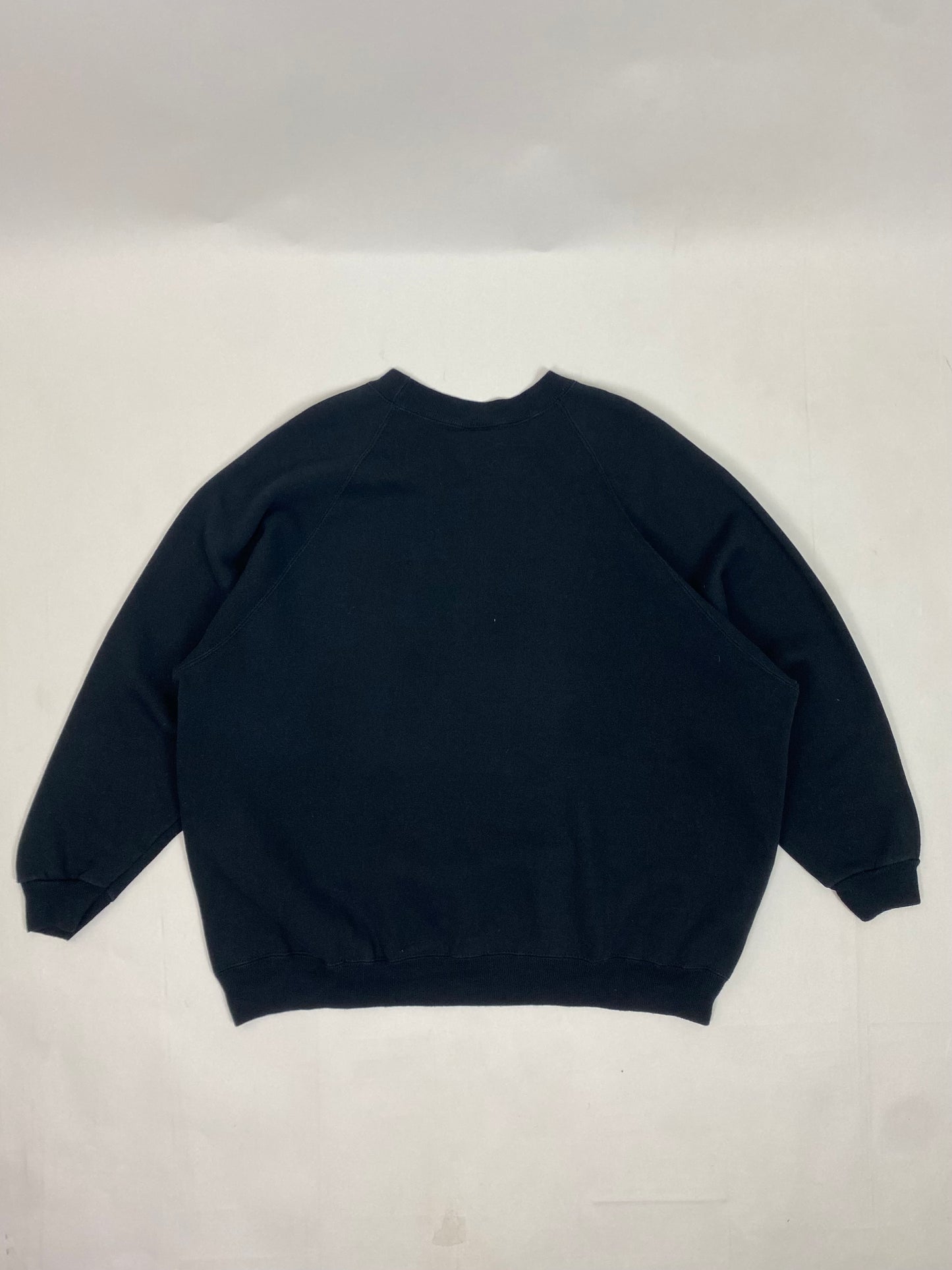 Sweat-shirt "Laviecontinue" Taille L (recommandé)